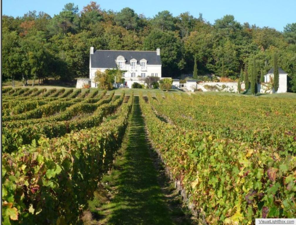 Domaine Beausejour Bed & Breakfast Panzoult Екстериор снимка